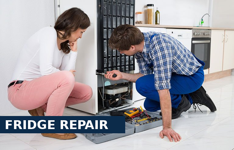 Fridge Repair Friern Barnet